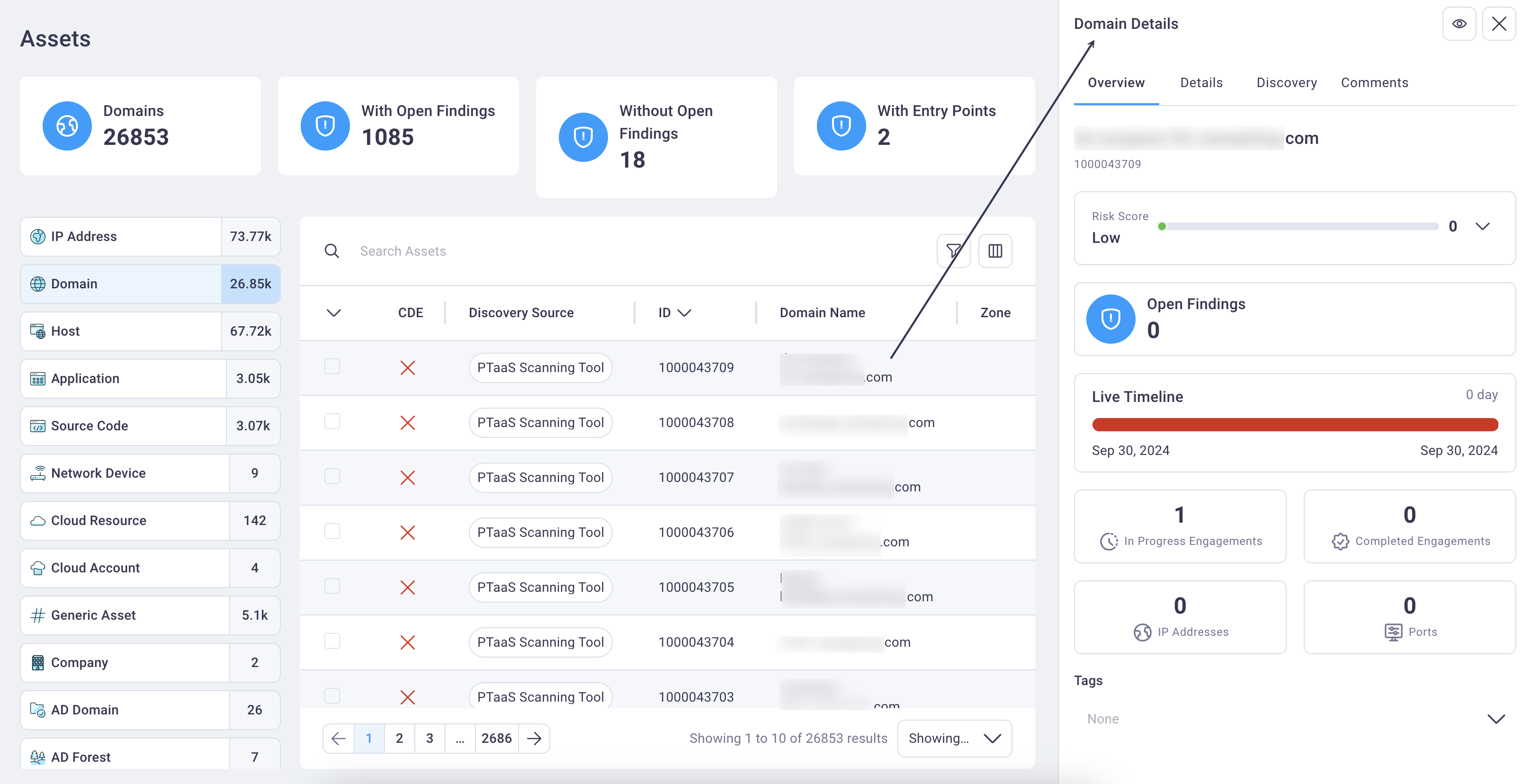 Asset details summary