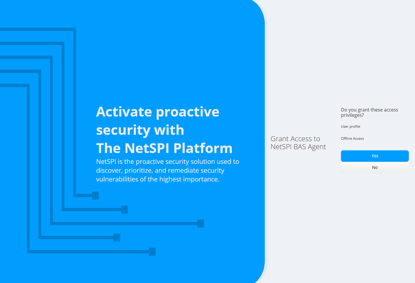 Grant agent access