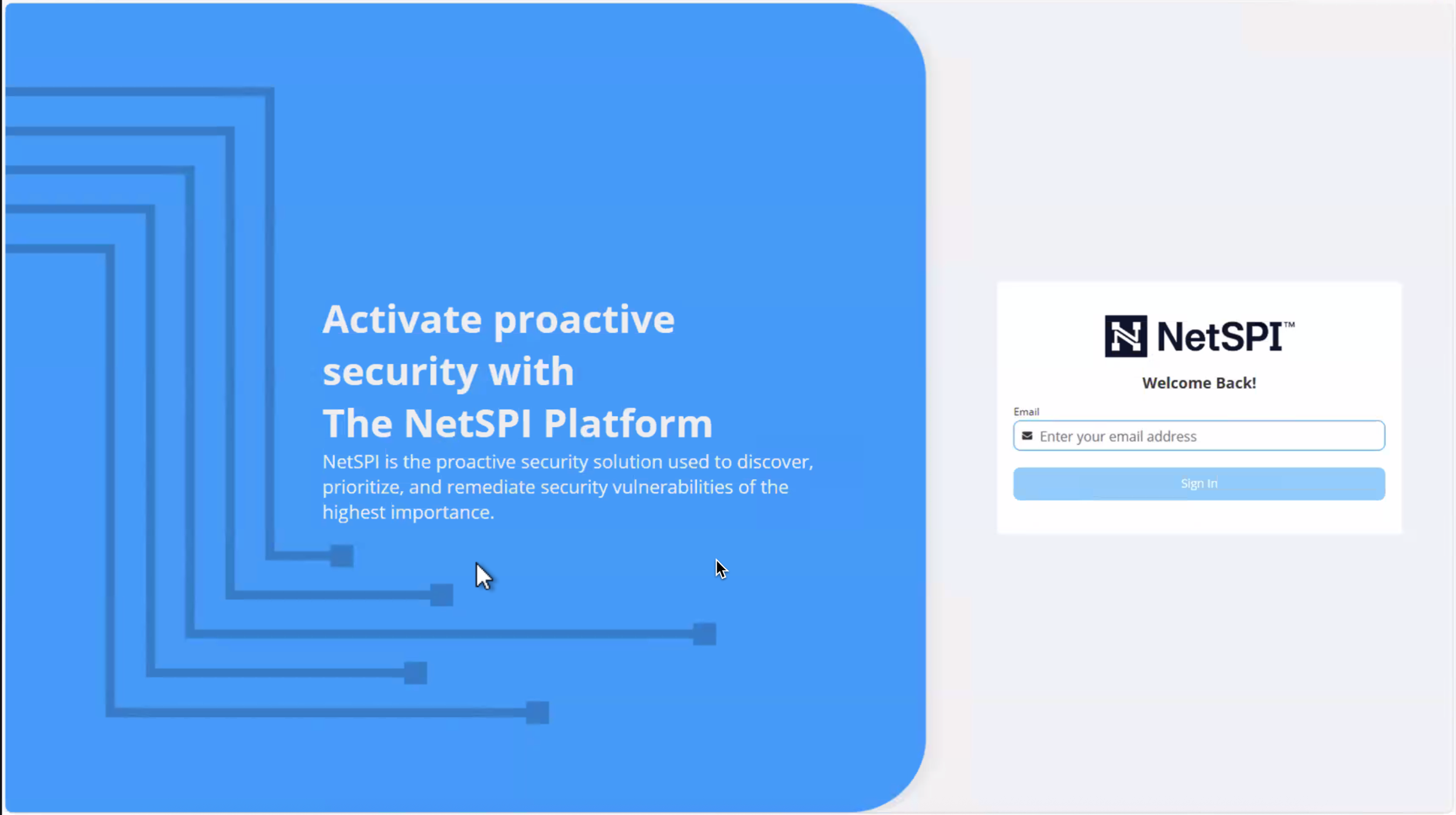 BAS Windows NetSPI Platform install screen