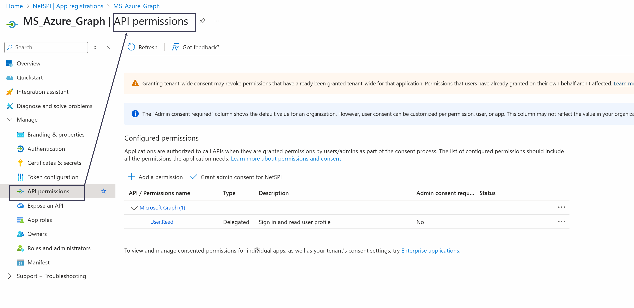 MS Graph Config Step 9