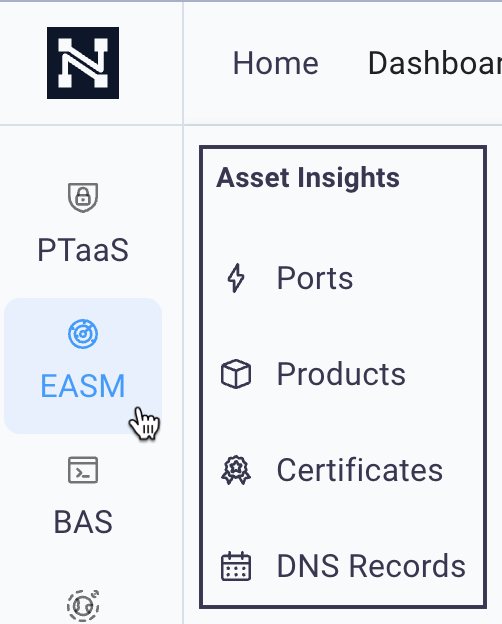 "Asset Insights navigation"