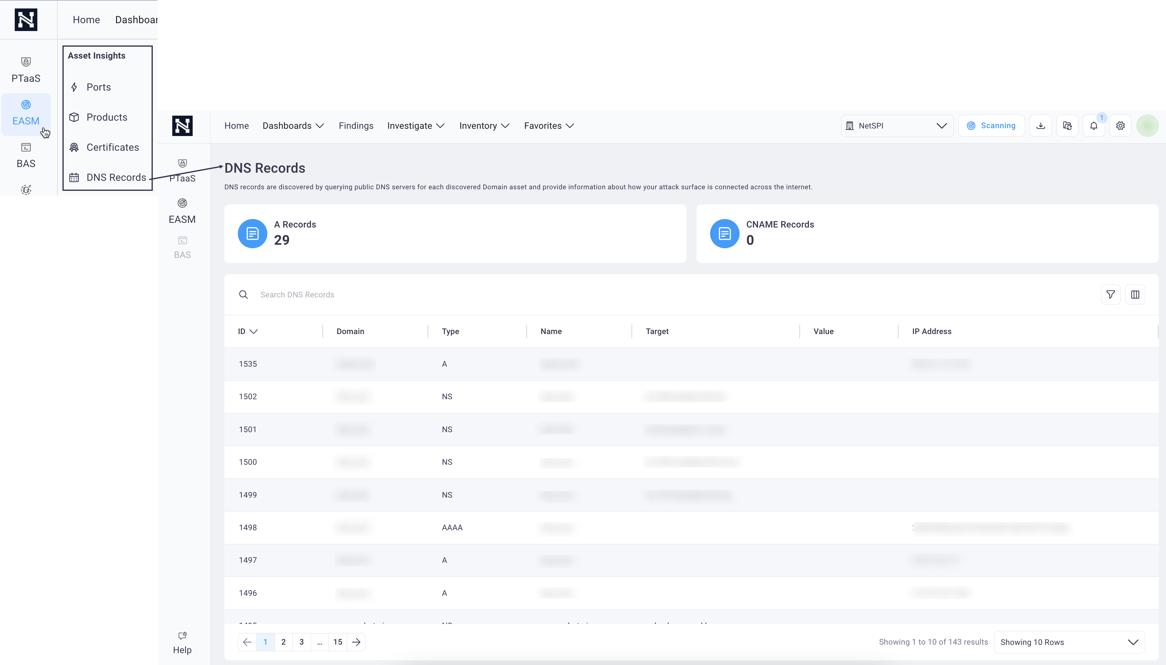 EASM DNS Records navigation