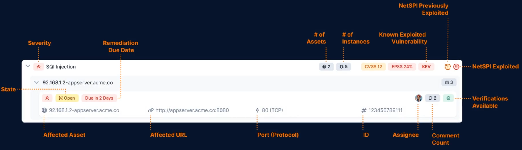 Vulnerability table overview