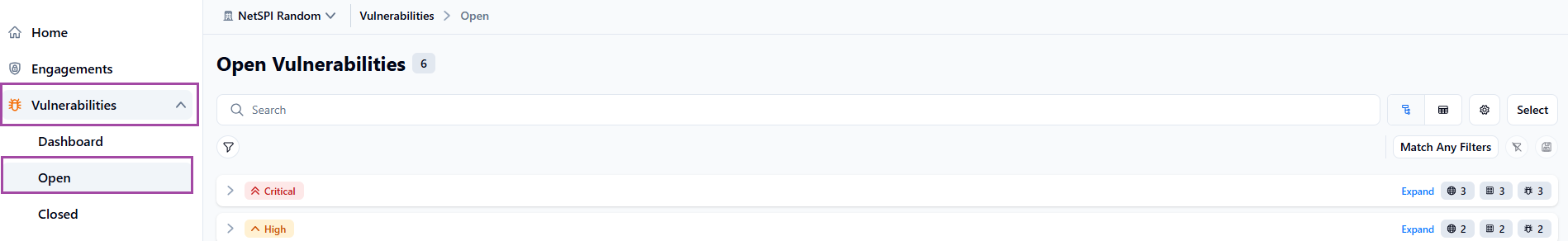 Open vulnerabilities example